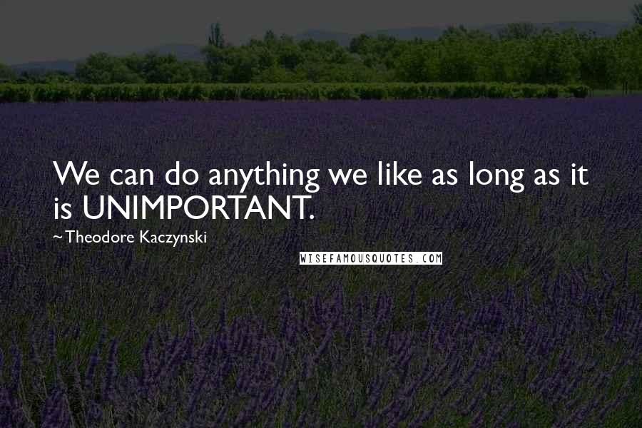 Theodore Kaczynski quotes: We can do anything we like as long as it is UNIMPORTANT.