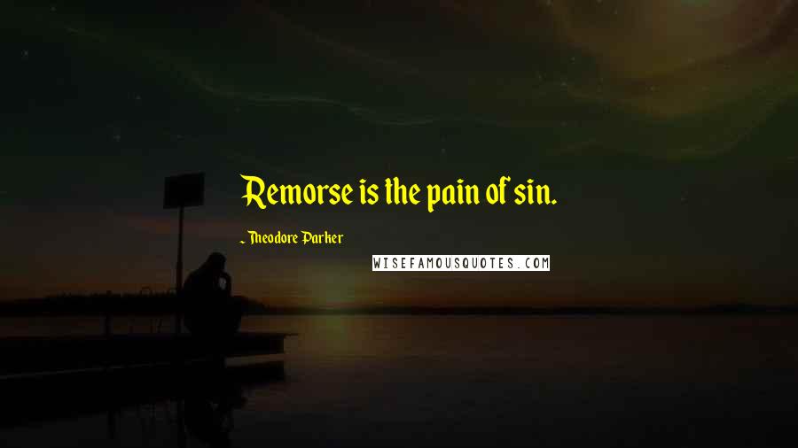 Theodore Parker quotes: Remorse is the pain of sin.