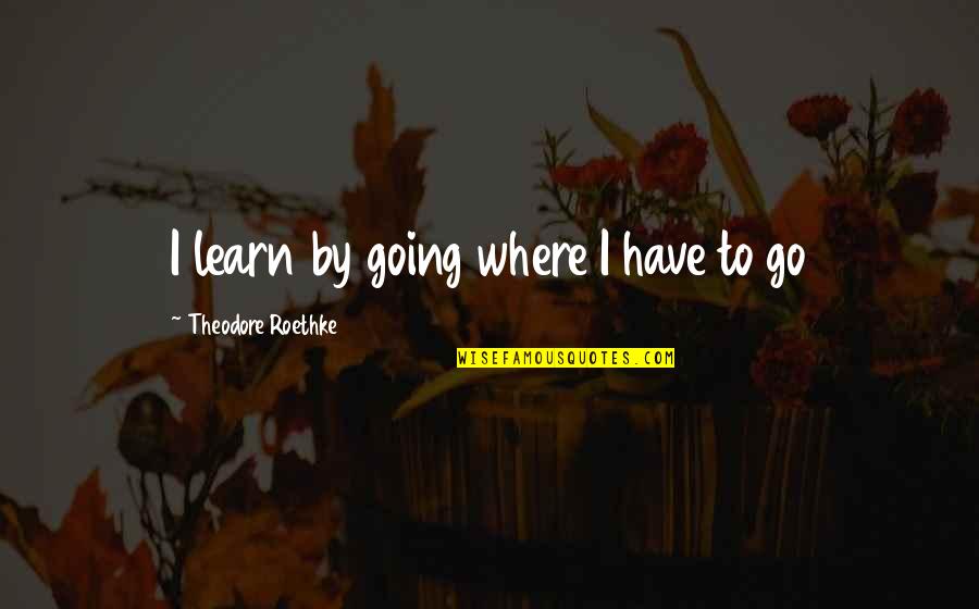 Theodore Quotes By Theodore Roethke: I learn by going where I have to Theodore Quotes By Theodore Roethke: I learn by going where I have to