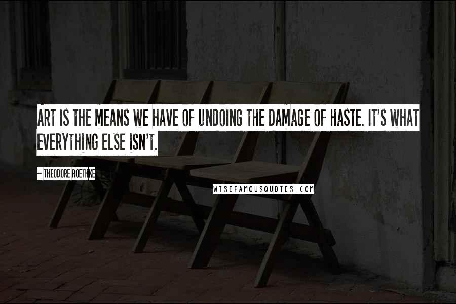 Theodore Roethke quotes: Art is the means we have of undoing the damage of haste. It's what everything else isn't.