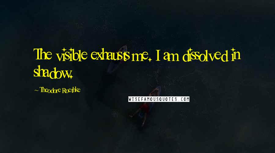 Theodore Roethke quotes: The visible exhausts me. I am dissolved in shadow.