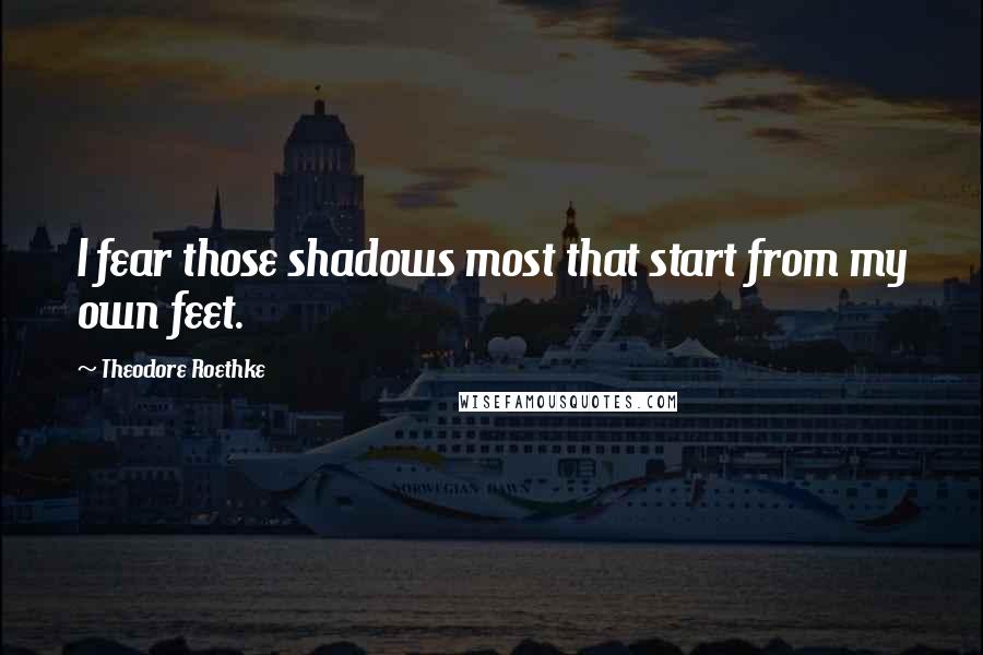 Theodore Roethke quotes: I fear those shadows most that start from my own feet.