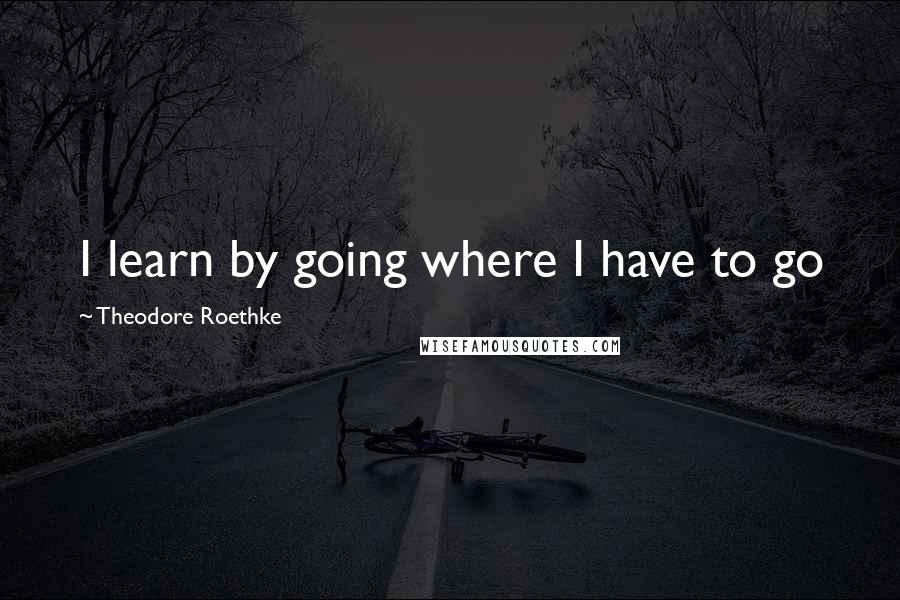 Theodore Roethke quotes: I learn by going where I have to go
