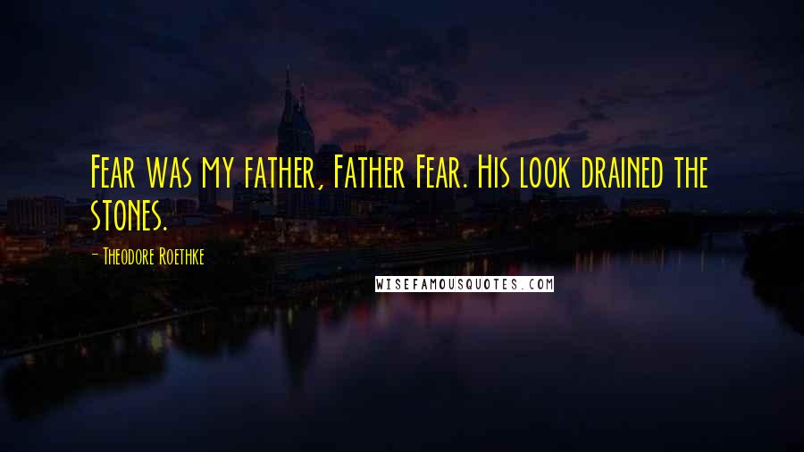 Theodore Roethke quotes: Fear was my father, Father Fear. His look drained the stones.
