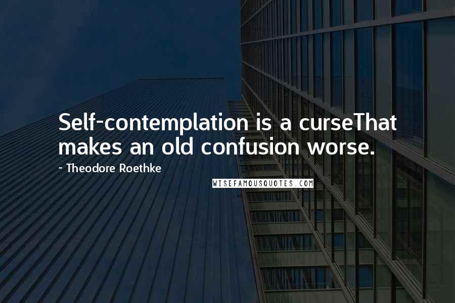 Theodore Roethke quotes: Self-contemplation is a curseThat makes an old confusion worse.