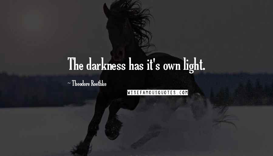 Theodore Roethke quotes: The darkness has it's own light.