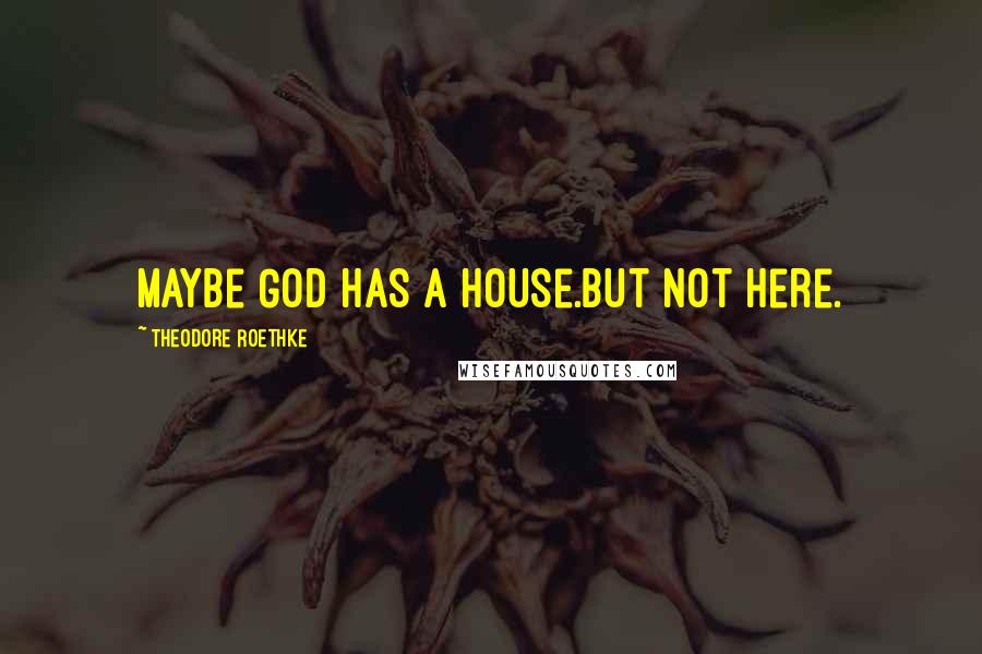 Theodore Roethke quotes: Maybe God has a house.But not here.