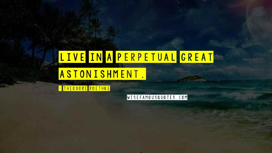 Theodore Roethke quotes: Live in a perpetual great astonishment.