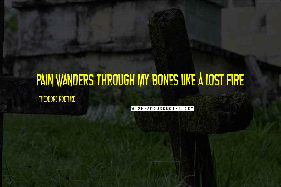 Theodore Roethke quotes: Pain wanders through my bones like a lost fire