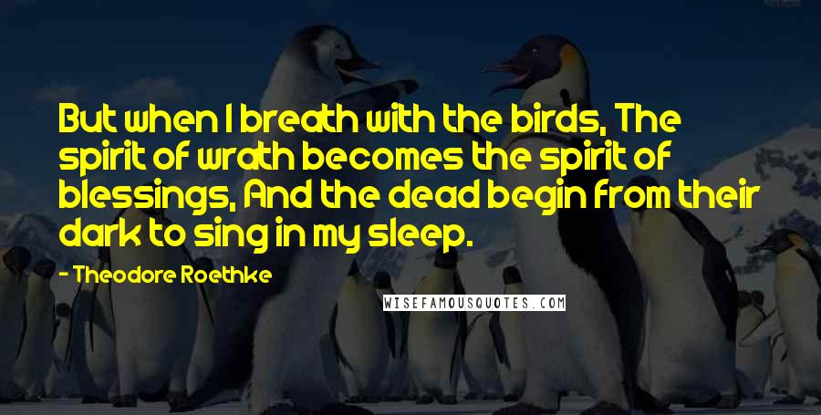 Theodore Roethke quotes: But when I breath with the birds, The spirit of wrath becomes the spirit of blessings, And the dead begin from their dark to sing in my sleep.