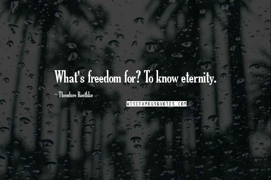 Theodore Roethke quotes: What's freedom for? To know eternity.