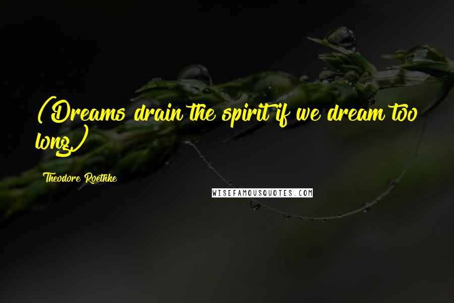 Theodore Roethke quotes: (Dreams drain the spirit if we dream too long.)