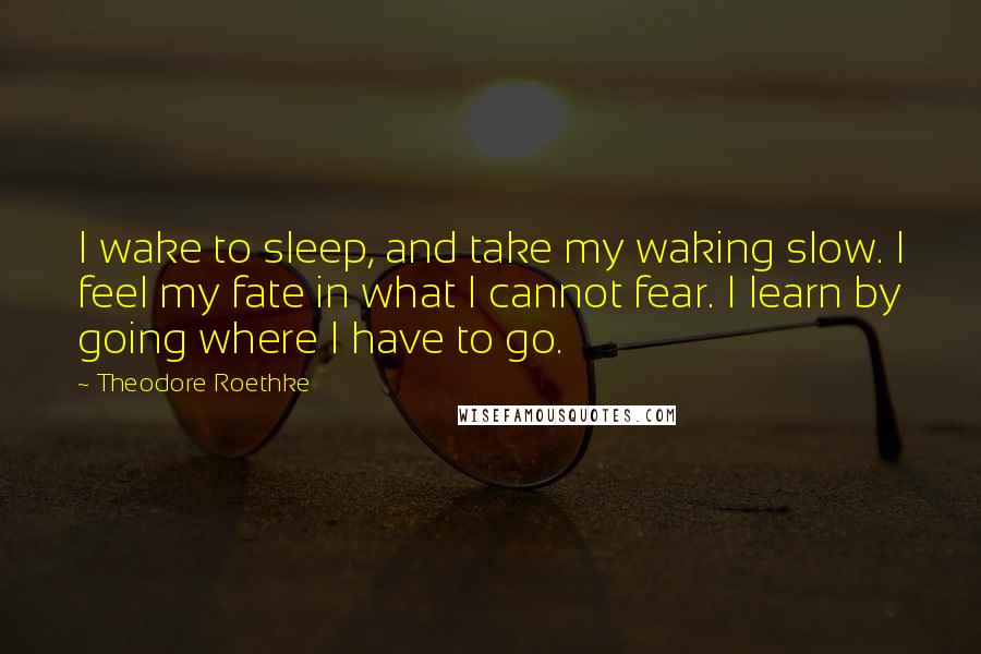 Theodore Roethke quotes: I wake to sleep, and take my waking slow. I feel my fate in what I cannot fear. I learn by going where I have to go.