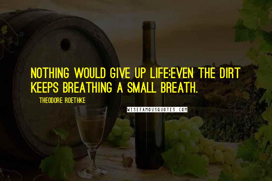 Theodore Roethke quotes: Nothing would give up life:Even the dirt keeps breathing a small breath.