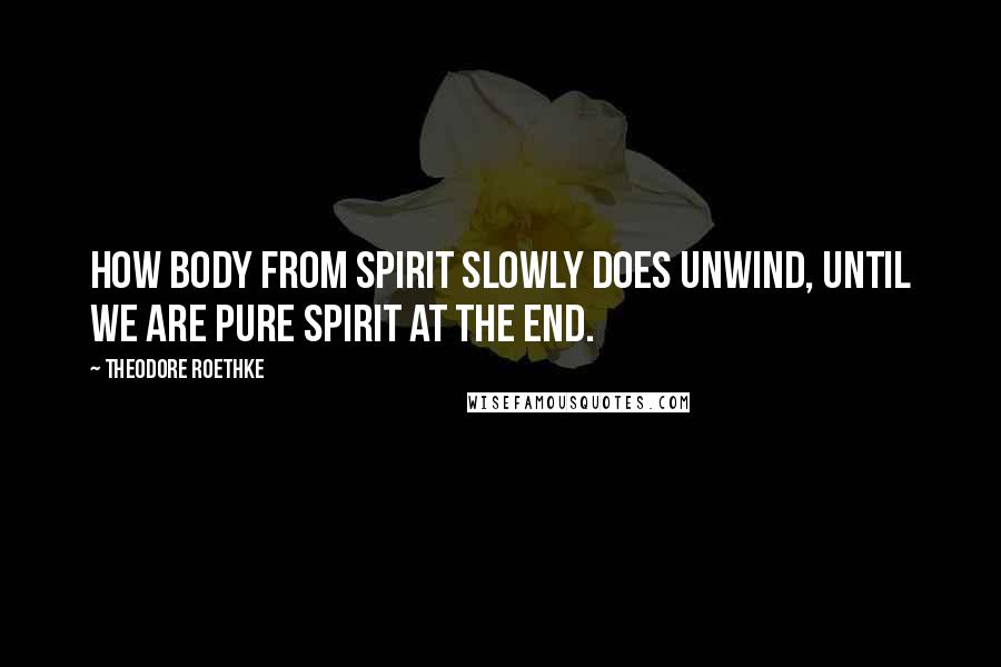 Theodore Roethke quotes: How body from spirit slowly does unwind, until we are pure spirit at the end.
