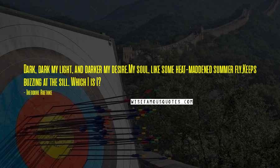 Theodore Roethke quotes: Dark, dark my light, and darker my desire.My soul, like some heat-maddened summer fly,Keeps buzzing at the sill. Which I is I?