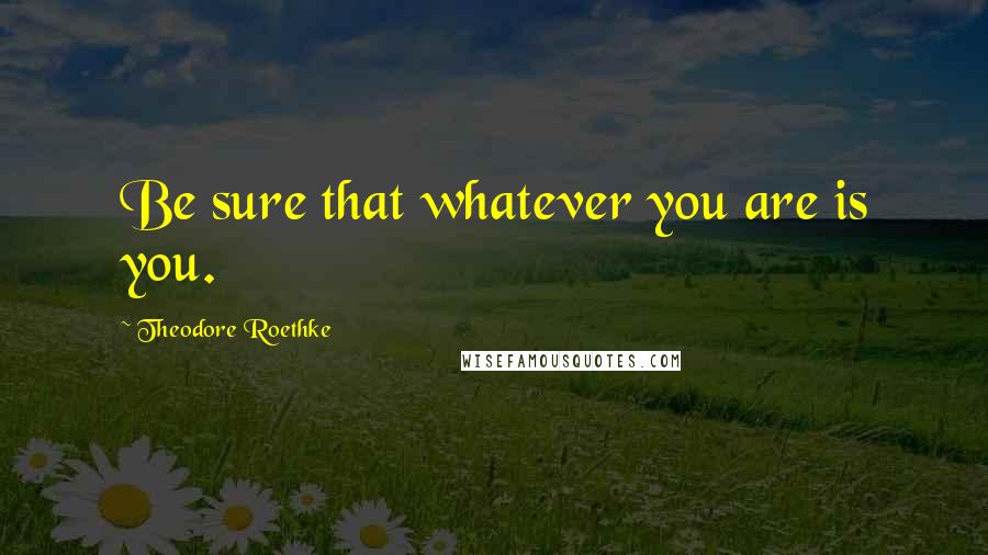 Theodore Roethke quotes: Be sure that whatever you are is you.
