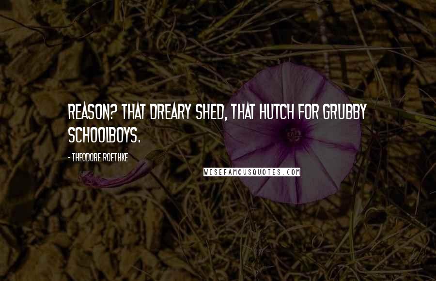 Theodore Roethke quotes: Reason? That dreary shed, that hutch for grubby schoolboys.