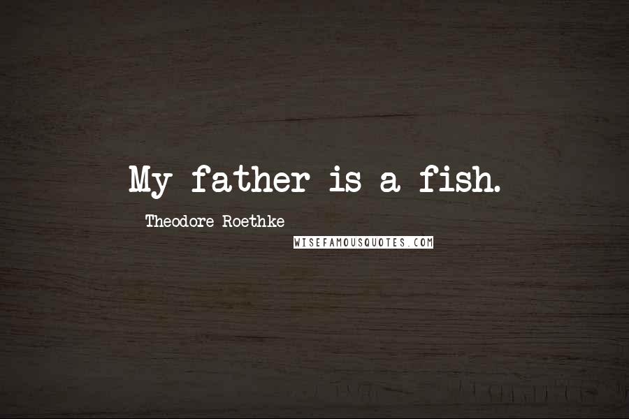 Theodore Roethke quotes: My father is a fish.