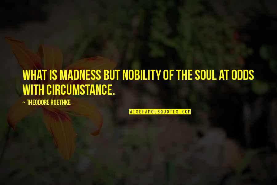 Theodore Roethke Quotes By Theodore Roethke: What is madness but nobility of the soul