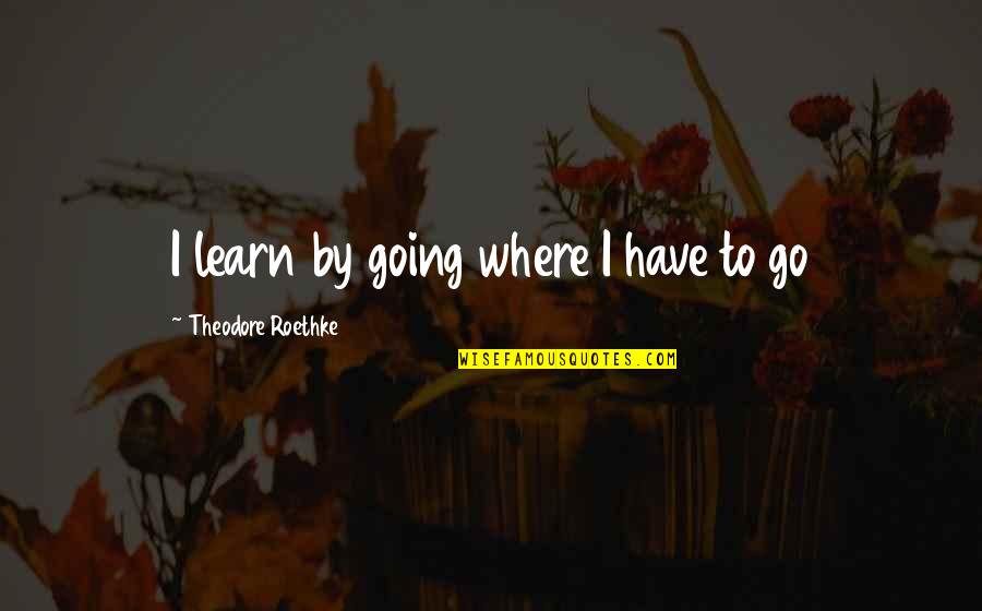 Theodore Roethke Quotes By Theodore Roethke: I learn by going where I have to