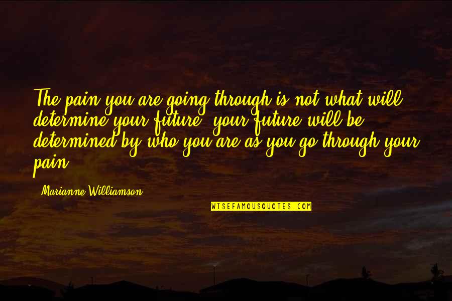 Theodore Roosevelt Death Quote Quotes By Marianne Williamson: The pain you are going through is not Theodore Roosevelt Death Quote Quotes By Marianne Williamson: The pain you are going through is not