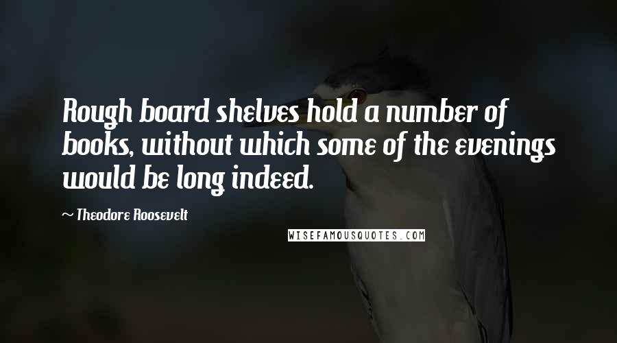 Theodore Roosevelt quotes: Rough board shelves hold a number of books, without which some of the evenings would be long indeed.