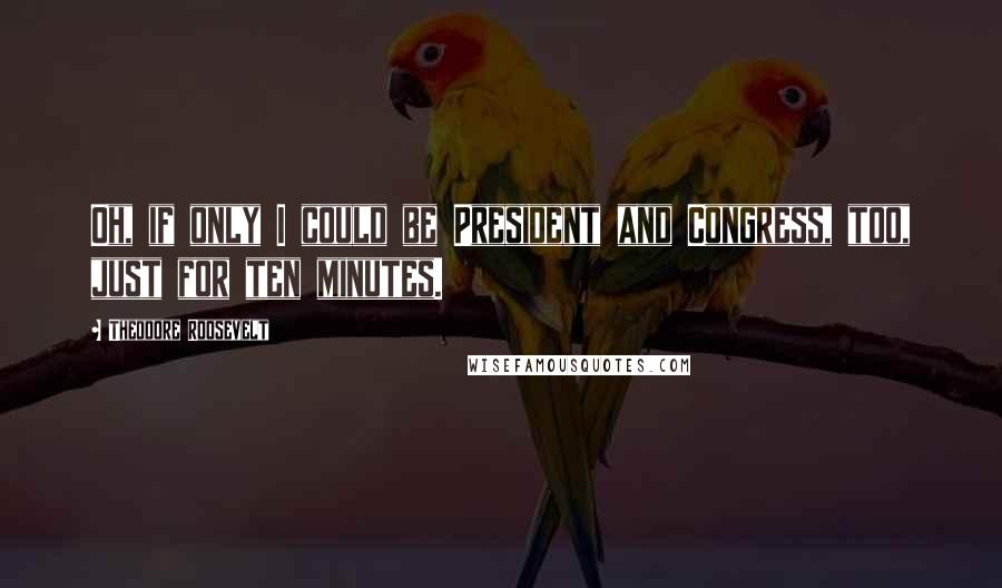 Theodore Roosevelt quotes: Oh, if only I could be President and Congress, too, just for ten minutes.