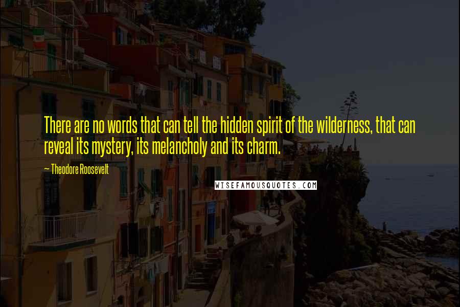 Theodore Roosevelt quotes: There are no words that can tell the hidden spirit of the wilderness, that can reveal its mystery, its melancholy and its charm.