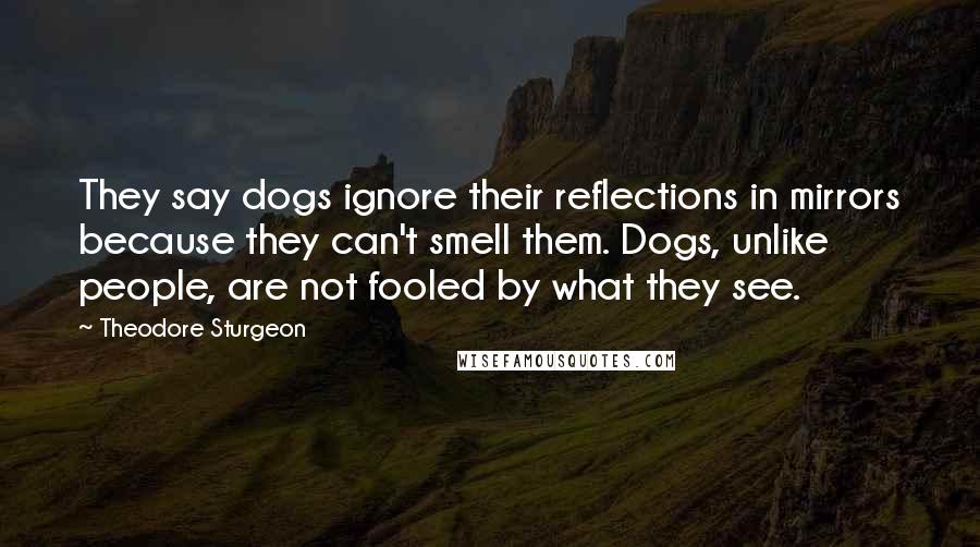 Theodore Sturgeon quotes: They say dogs ignore their reflections in mirrors because they can't smell them. Dogs, unlike people, are not fooled by what they see.