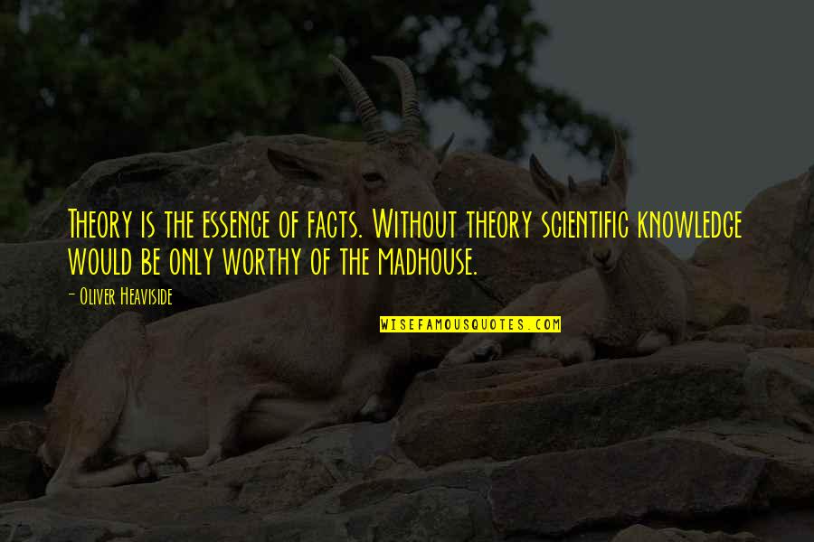 Theodorescu Dan Quotes By Oliver Heaviside: Theory is the essence of facts. Without theory Theodorescu Dan Quotes By Oliver Heaviside: Theory is the essence of facts. Without theory