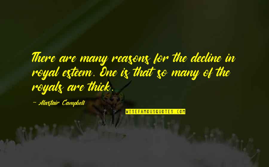 Theodorus The Atheist Quotes By Alastair Campbell: There are many reasons for the decline in