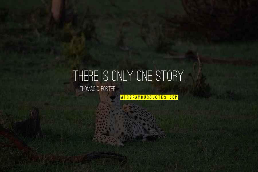 Theofanis Mitsinikos Quotes By Thomas C. Foster: There is only one story.