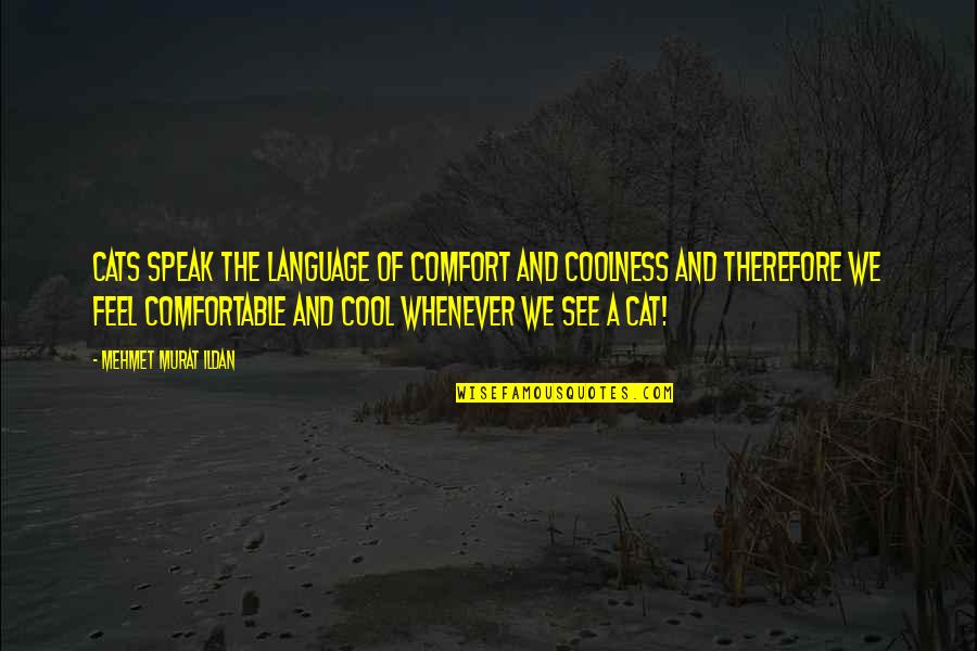 Theofrastous Quotes By Mehmet Murat Ildan: Cats speak the language of comfort and coolness