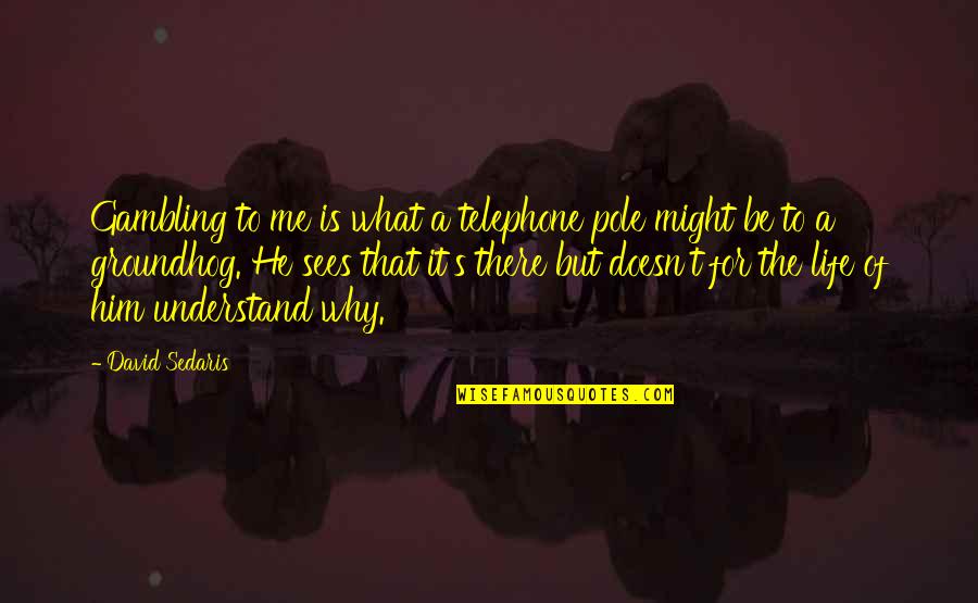 Theon Of Alexandria Quotes By David Sedaris: Gambling to me is what a telephone pole Theon Of Alexandria Quotes By David Sedaris: Gambling to me is what a telephone pole