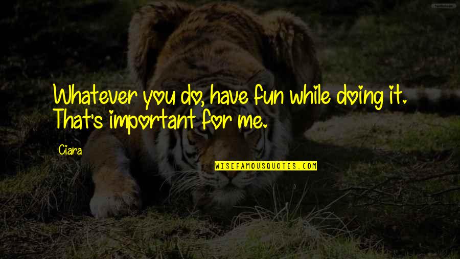 Theorizations Quotes By Ciara: Whatever you do, have fun while doing it.