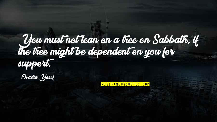 Theory Of Constraints Quotes By Ovadia Yosef: You must not lean on a tree on Theory Of Constraints Quotes By Ovadia Yosef: You must not lean on a tree on