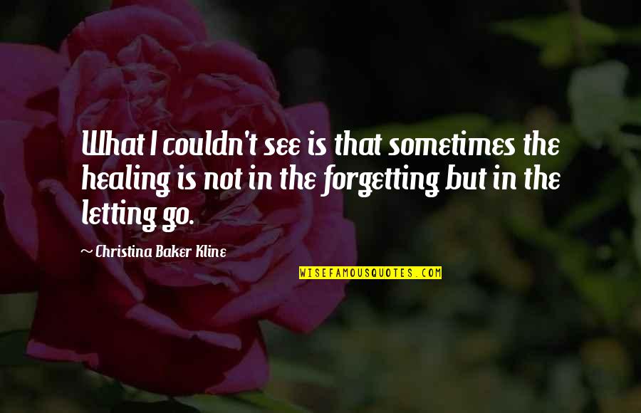 Thepla Quotes By Christina Baker Kline: What I couldn't see is that sometimes the Thepla Quotes By Christina Baker Kline: What I couldn't see is that sometimes the