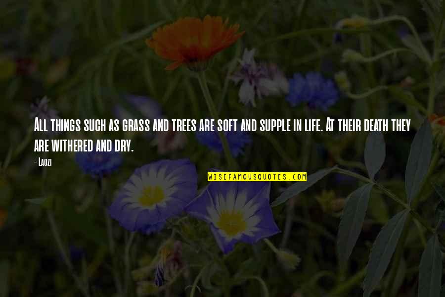 Thepla Quotes By Laozi: All things such as grass and trees are Thepla Quotes By Laozi: All things such as grass and trees are