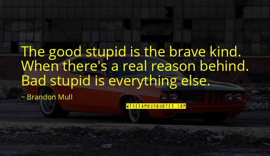 There A Reason For Everything Quotes By Brandon Mull: The good stupid is the brave kind. When