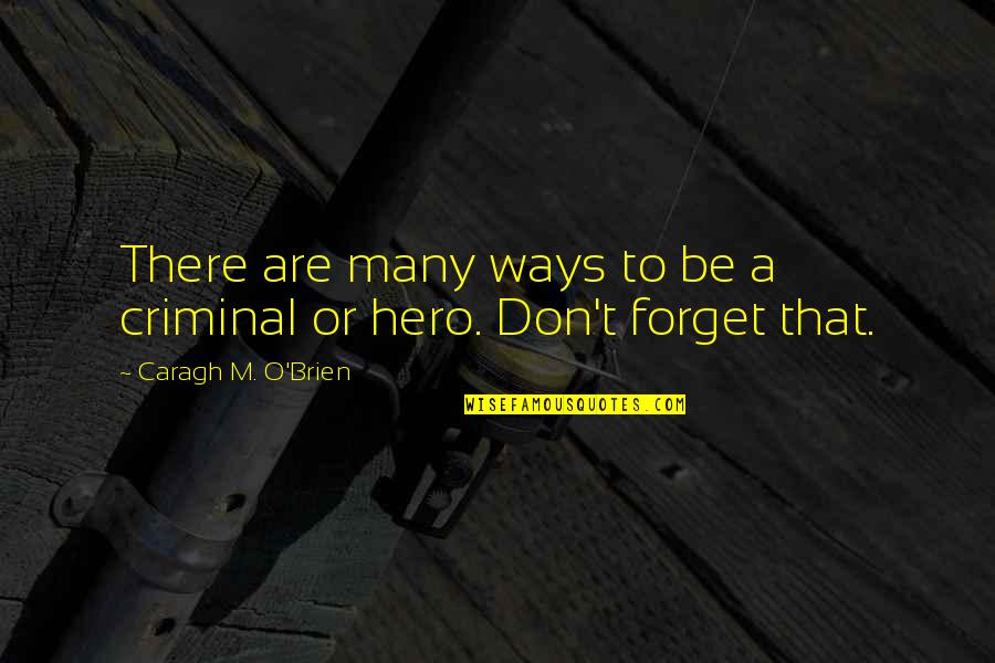 There Are Many Ways Quotes By Caragh M. O'Brien: There are many ways to be a criminal
