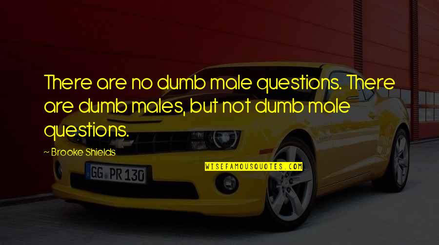 There Are No Dumb Questions Quotes By Brooke Shields: There are no dumb male questions. There are