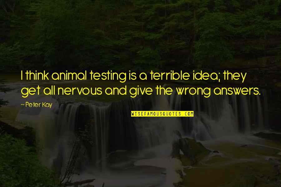 There Are No Wrong Answers Quotes By Peter Kay: I think animal testing is a terrible idea; There Are No Wrong Answers Quotes By Peter Kay: I think animal testing is a terrible idea;