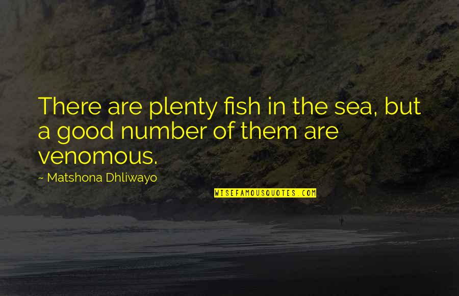 There Are Plenty Of Fish In The Sea Quotes By Matshona Dhliwayo: There are plenty fish in the sea, but