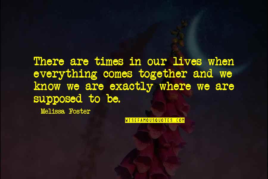 There Are Times In Our Lives Quotes By Melissa Foster: There are times in our lives when everything