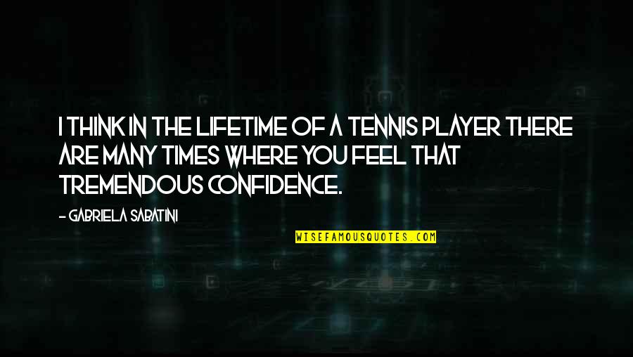 There Are Times Quotes By Gabriela Sabatini: I think in the lifetime of a tennis