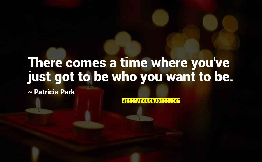 There Comes A Time Quotes By Patricia Park: There comes a time where you've just got