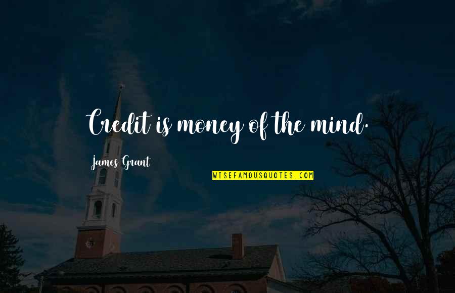 There Is No Better Friend Than A Sister Quotes By James Grant: Credit is money of the mind.