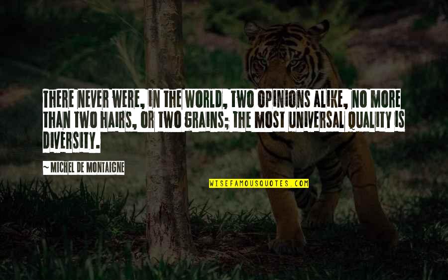 There Is No Justice In The World Quotes By Michel De Montaigne: There never were, in the world, two opinions