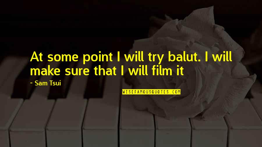 There Is No Point In Trying Quotes By Sam Tsui: At some point I will try balut. I